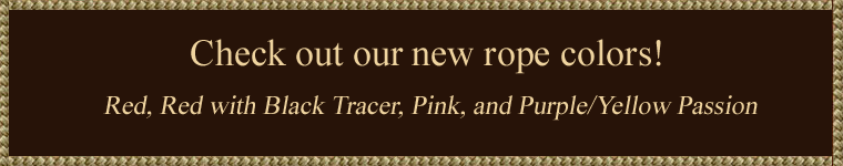 banner1220132.png